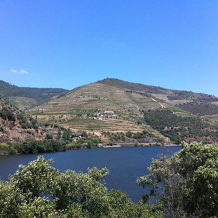 Quinta Da Marka Covas do Douro ภายนอก รูปภาพ