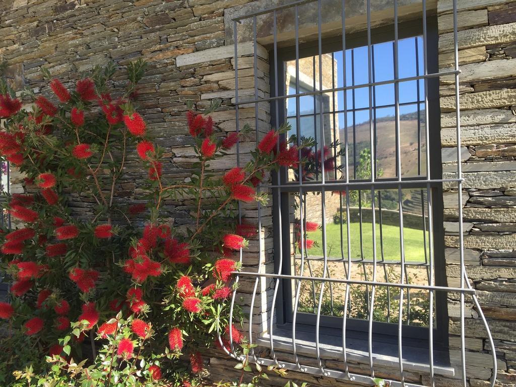 Quinta Da Marka Covas do Douro ภายนอก รูปภาพ