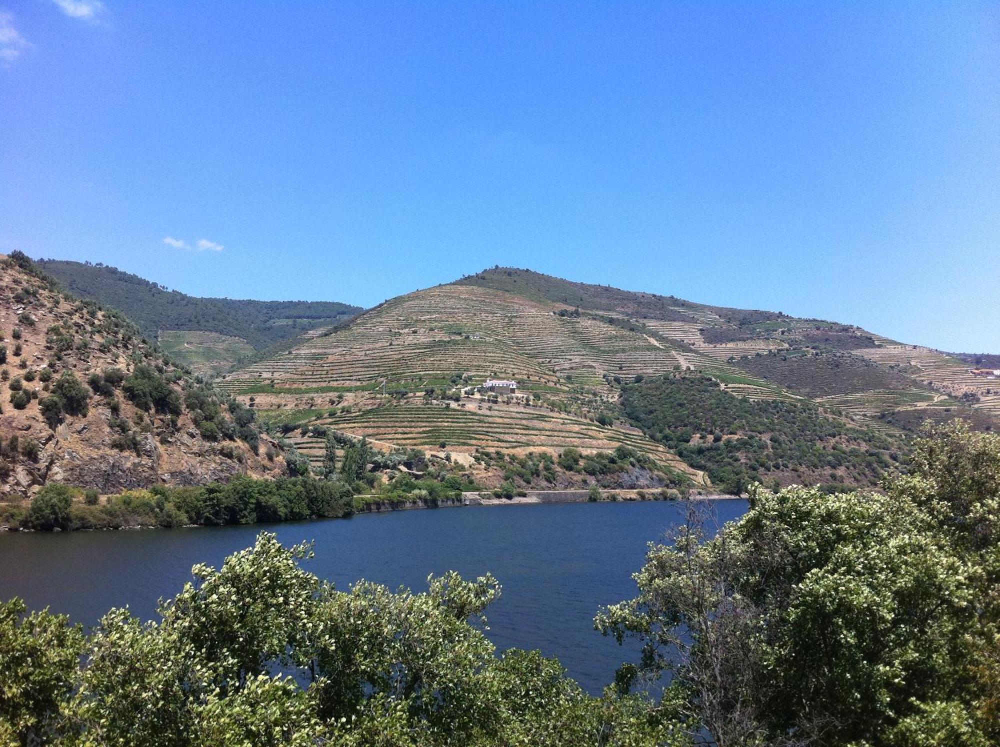 Quinta Da Marka Covas do Douro ภายนอก รูปภาพ