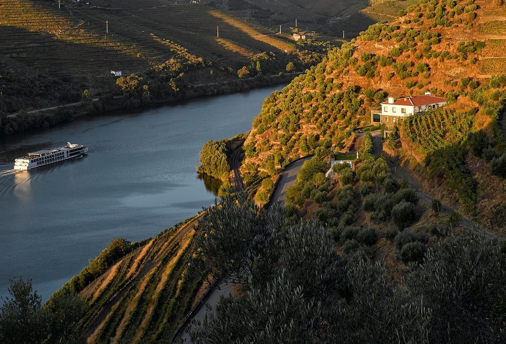 Quinta Da Marka Covas do Douro ภายนอก รูปภาพ
